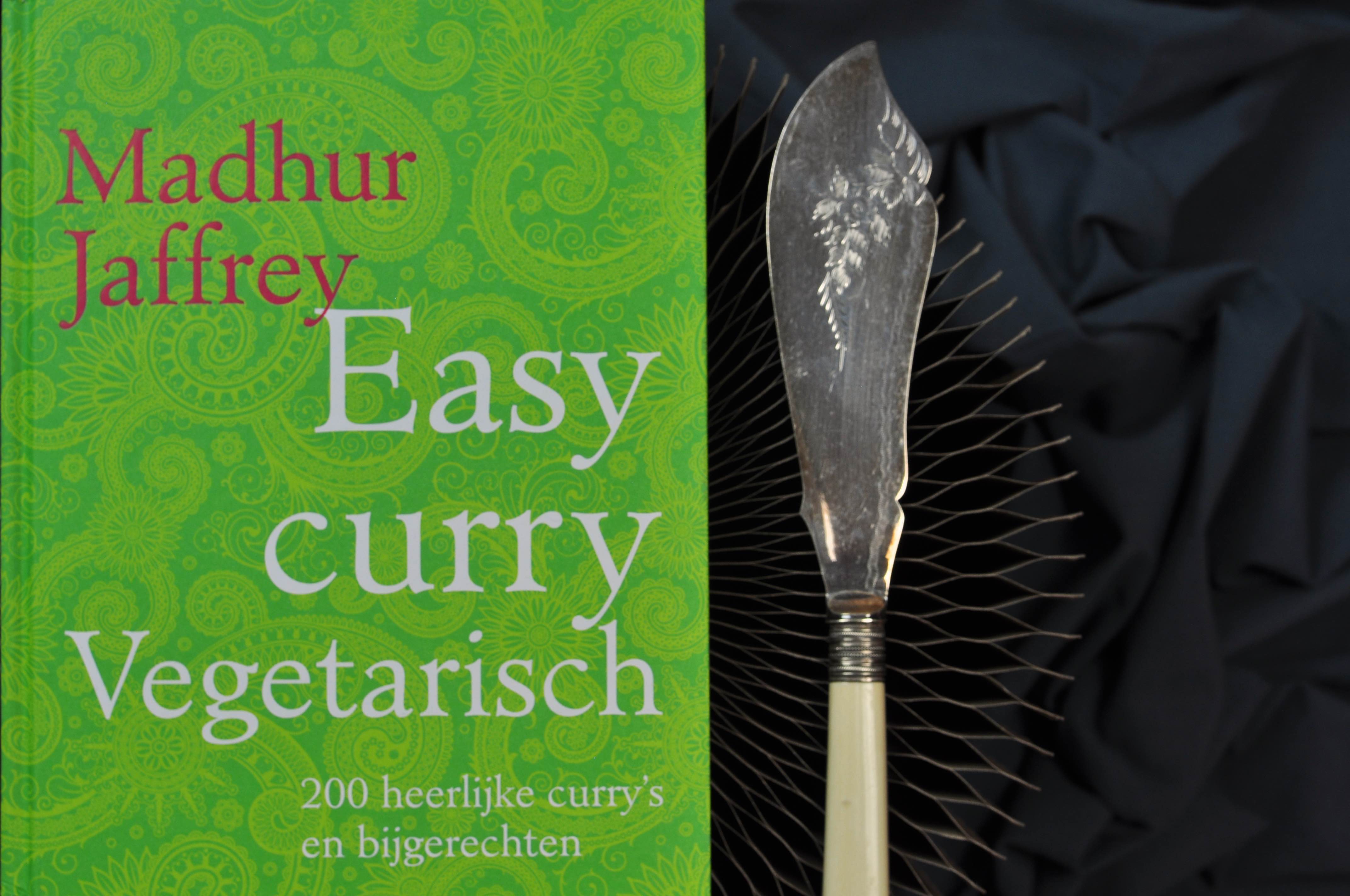 Easy_curry_vegetarian